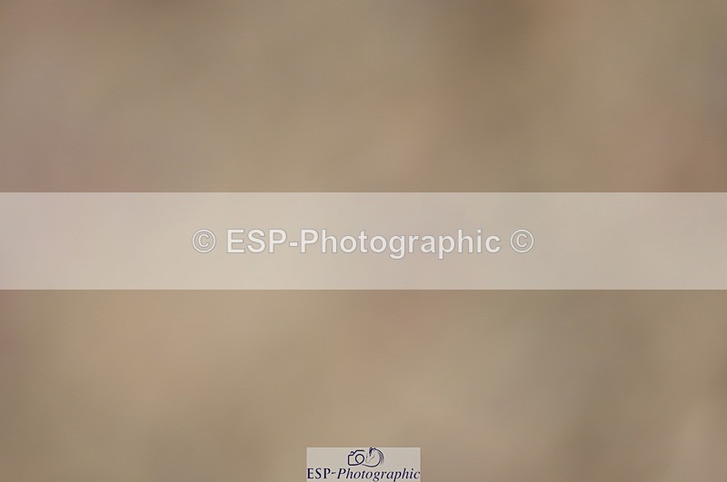 230916A-104440-03478 - Cls 21 British Novice & 90cm Open