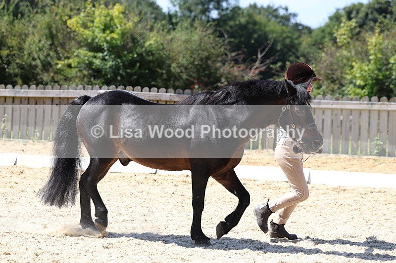 3E7A9393 - Class 29: Veteran In Hand