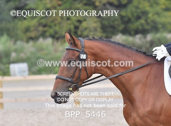 BPP_5446 - MY QUEST + INTRO TEST 1 & 2