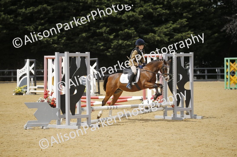 20250622-4768 - 50cm