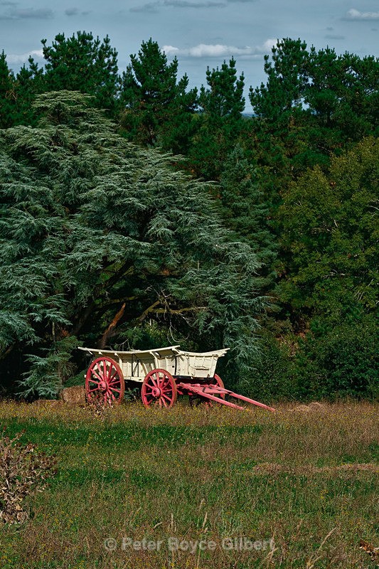 Wagon - The Countryside