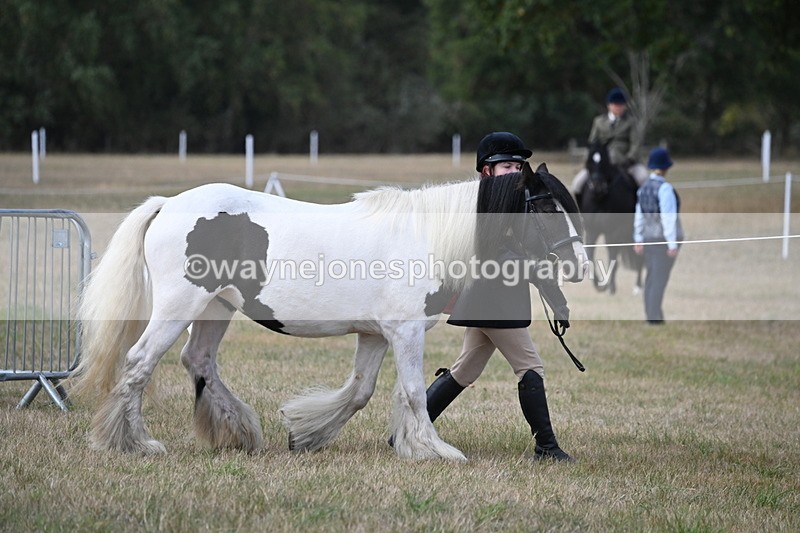 WJ6_6397 - Class 20 In-hand Cob