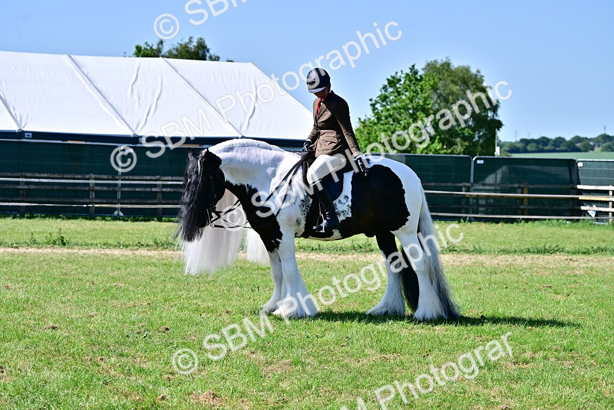 SBM_19392 - Class 101-102 - BSPS LIHS Performance Coloured Horse/Pony