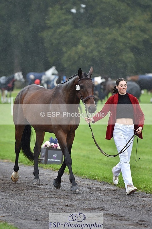 231018-121408-00152 - 023-THE.REAL.MCKAY-Jess.Rimmer-TrotUp