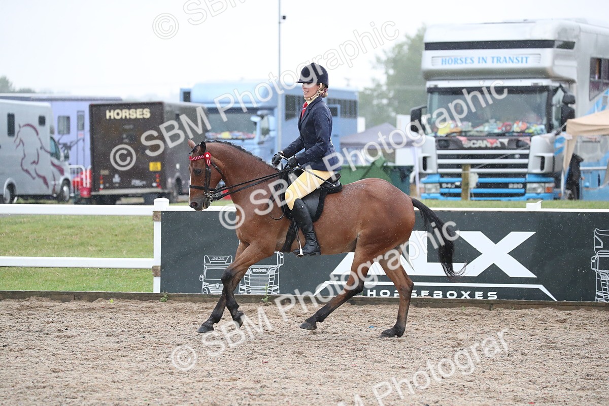 SBM_20460 - Class 601 - 2025 Area - Ridden Diamond