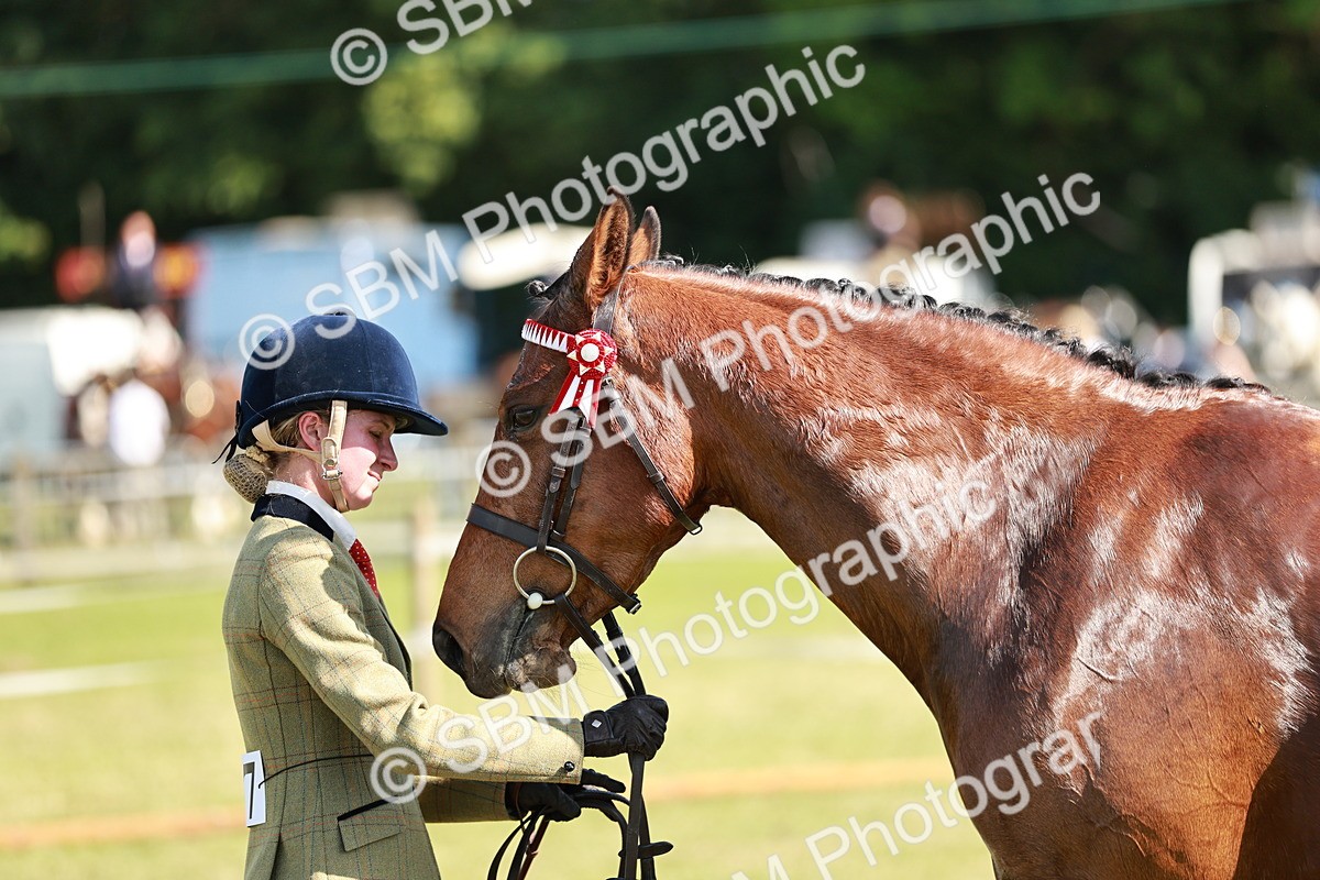 SBM_18922 - Class 114 - RIHS & SEIB Open Working Show Horse