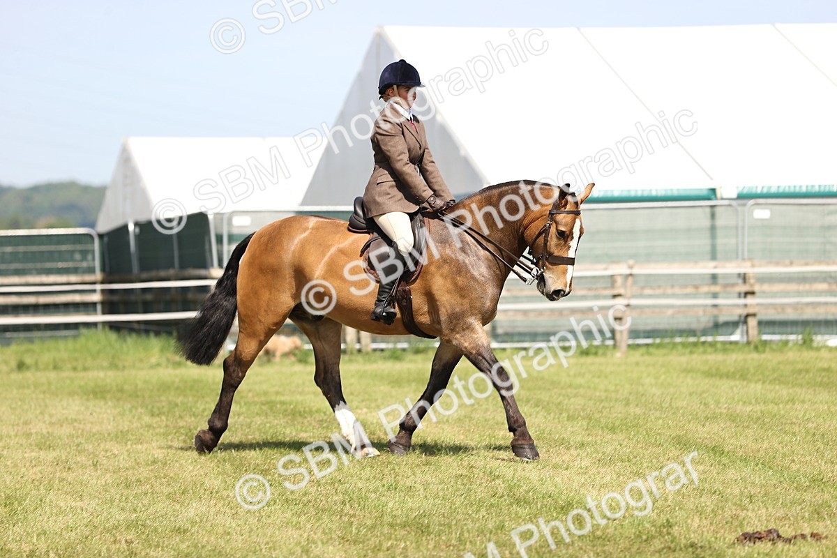 SBM_13804 - Class 77 - LIHS BSHA Rising Star Cobs