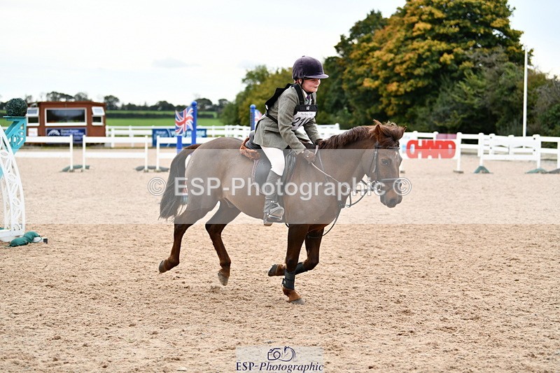 241013B-154631-02003 - Cls 6 80cm