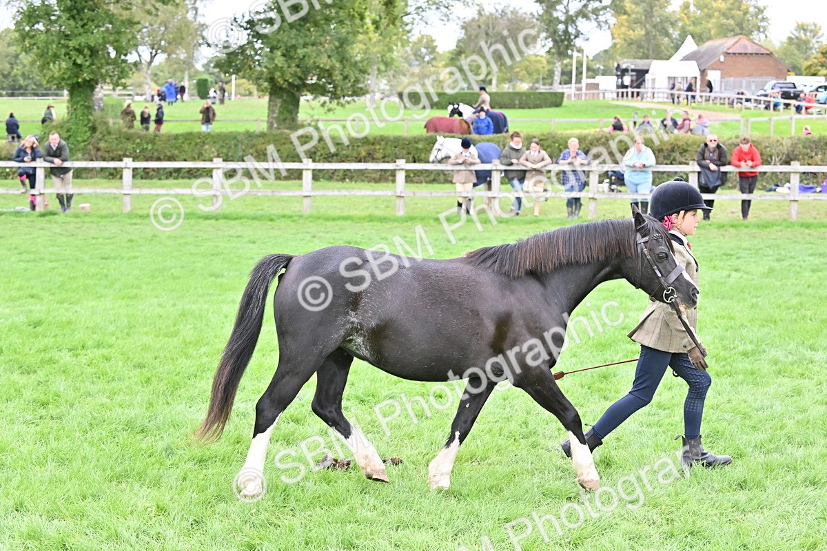 SBM_66802 - S41 - Junior Handler 8 Years & Under
