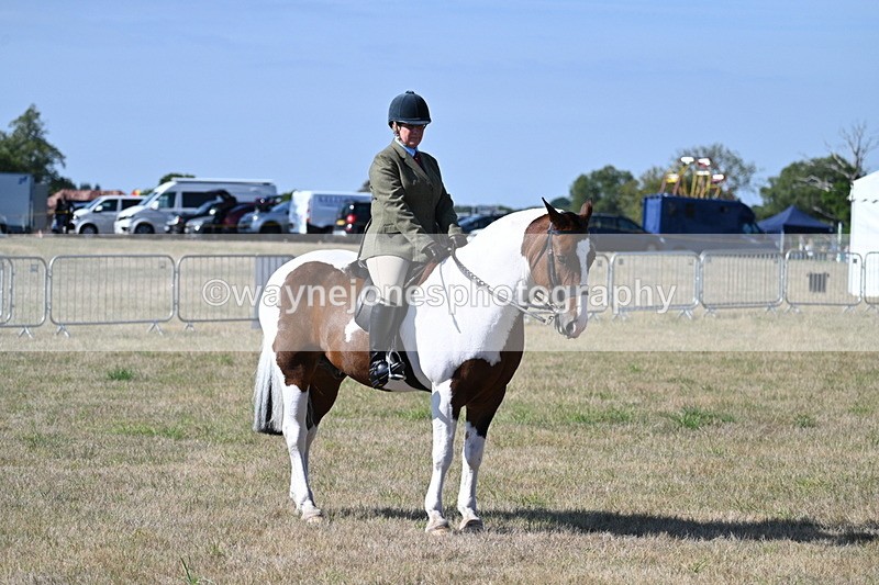 WJ7_3178 - Class 8 Ridden Tack & Turnout