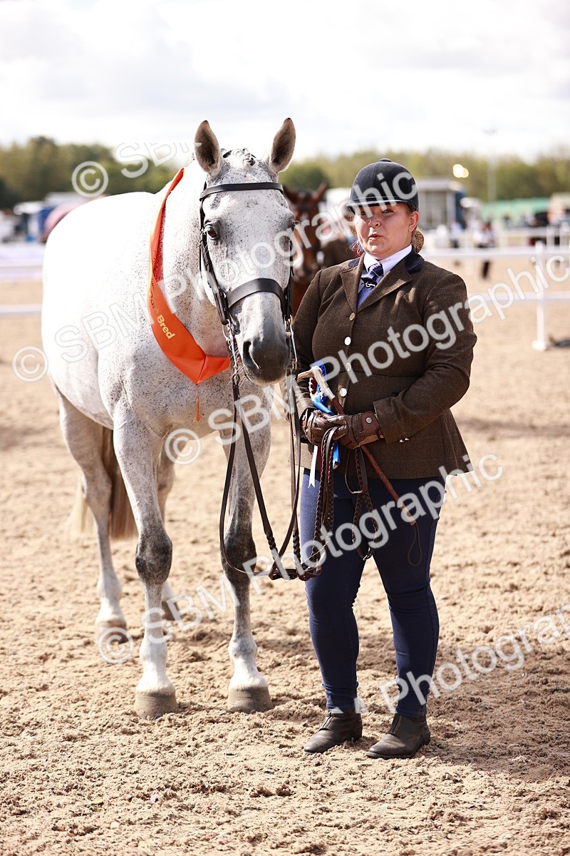 SBM_13359 - class 406 - IH Hunter