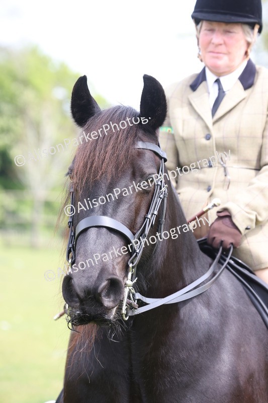 20260426-3044 - Class 33 - Best Pony 14.2hh and Under