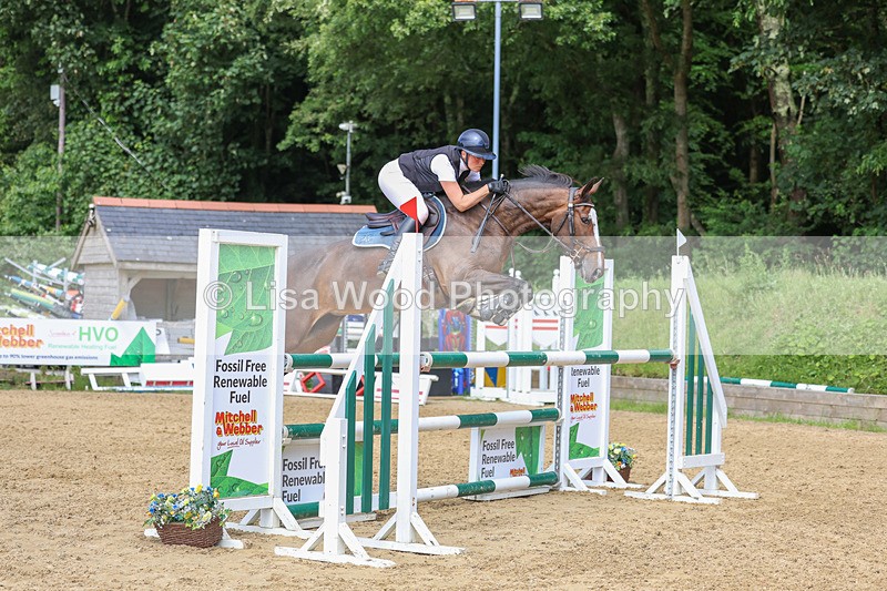 3E7A7586 - Class 9: Senior Foxhunter/1.20 open