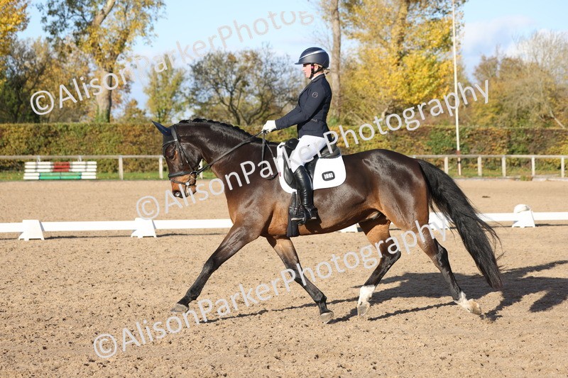 20251102-1209 - Class 7 - Medium 5