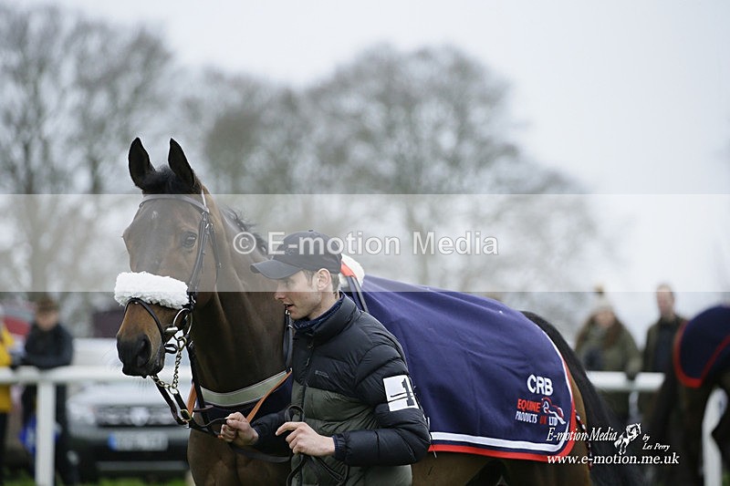 PtP 200222 145 - Countryside Alliance PtP Badbury Rings 20/02/22