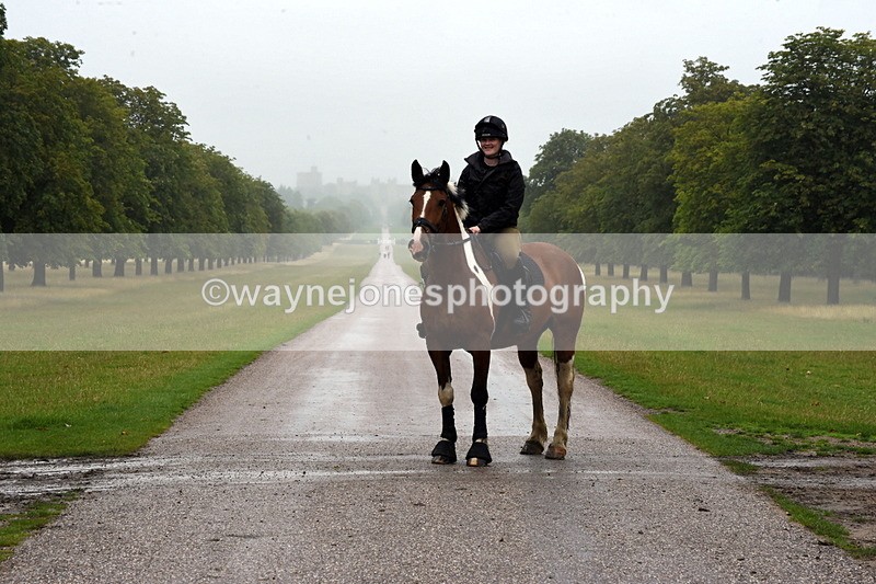 TT3_8367 - Time at Crossing 10:16 to 11:38