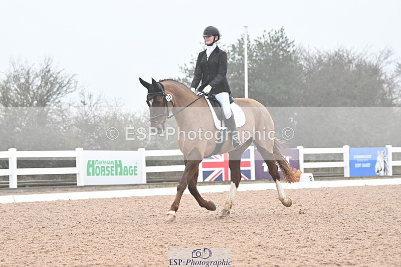 240217A-095122-00457 - 123-Daisy.Hedges-Felicia.v