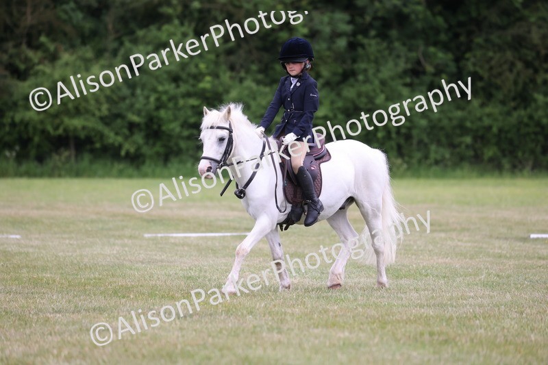 20250605-0609 - Class 1 - Intro 2