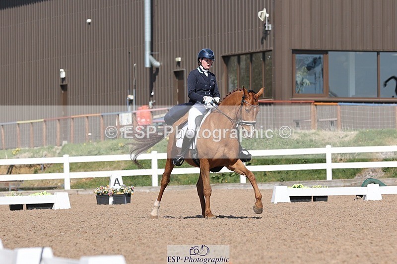 250405-143248-11428 - 135-Megan.Field-Bright.Time