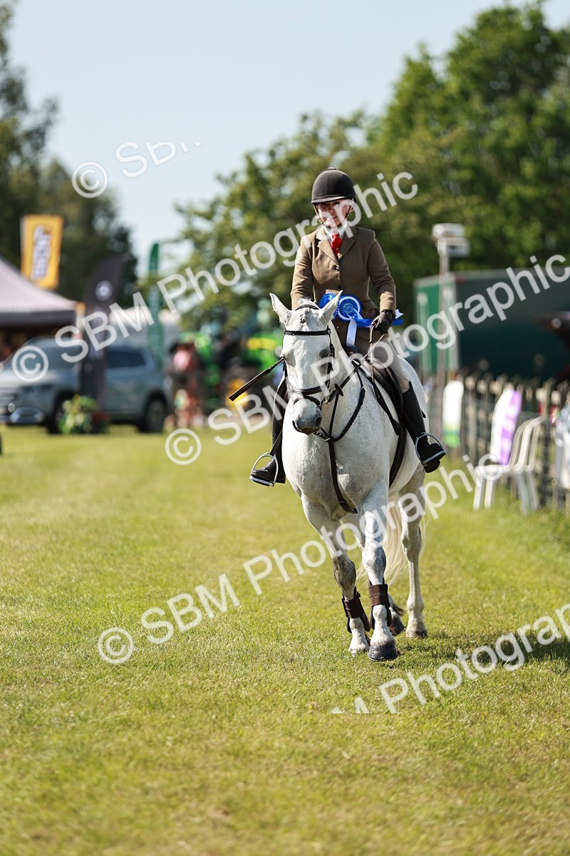 SBM_18568 - Class 112-113 - BSPS LIHS Working Sports Pony