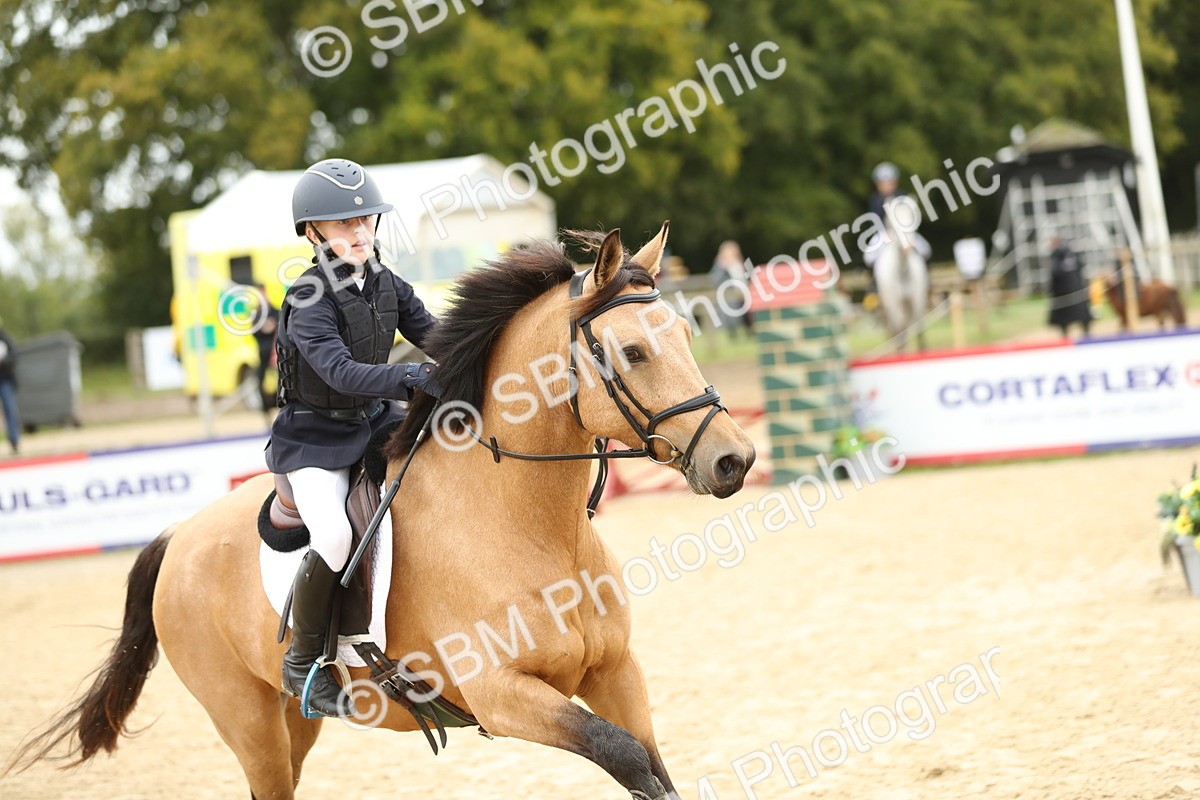 SBM_63127 - Supreme championship 75cm 80cm