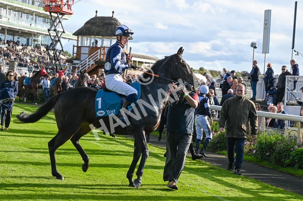141023-Race 5-Certain Lad-9132 - Race 5 3.35pm Coral Racing Bet Bundles Handicap