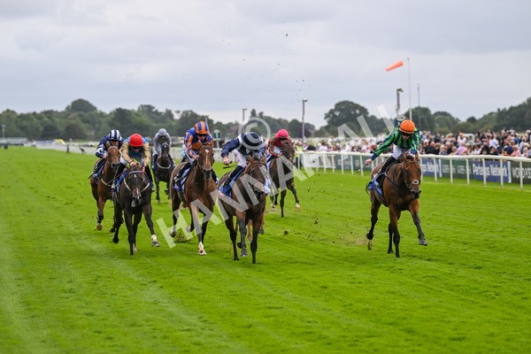 220824-Race 1-Celandine-6578 - Race 1 1.50pm Sky Bet Lowther Stakes
