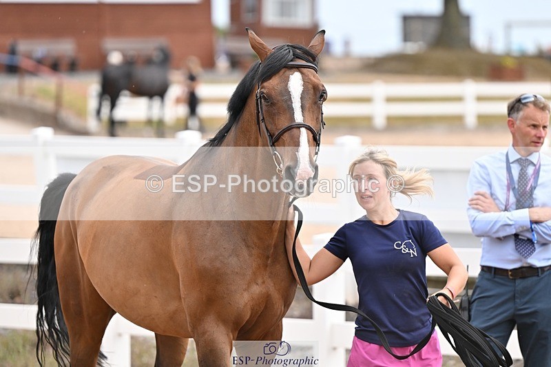 250716-151132-01740 - Trot Up 2.30 to 3.30