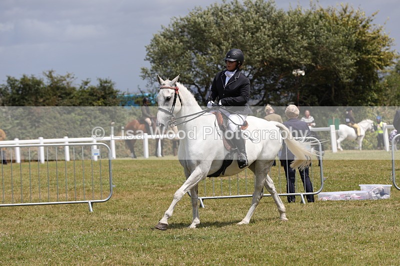 1X9A4535 - Class 34: Veteran Ridden