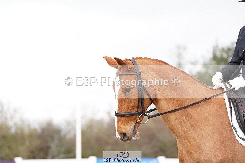 250322-103506-00151 - DR Novice 1 Test