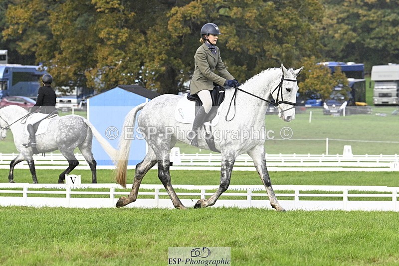 251023A-141250-04282 - D-329-Clementine.Montgomerie