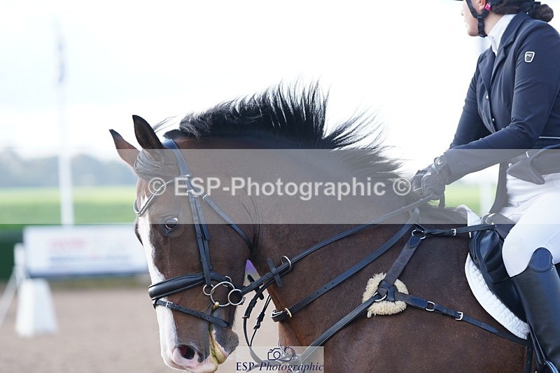 241005A-093916-04312 - SAT Cls 8 Snr British Novice & 90cm Open