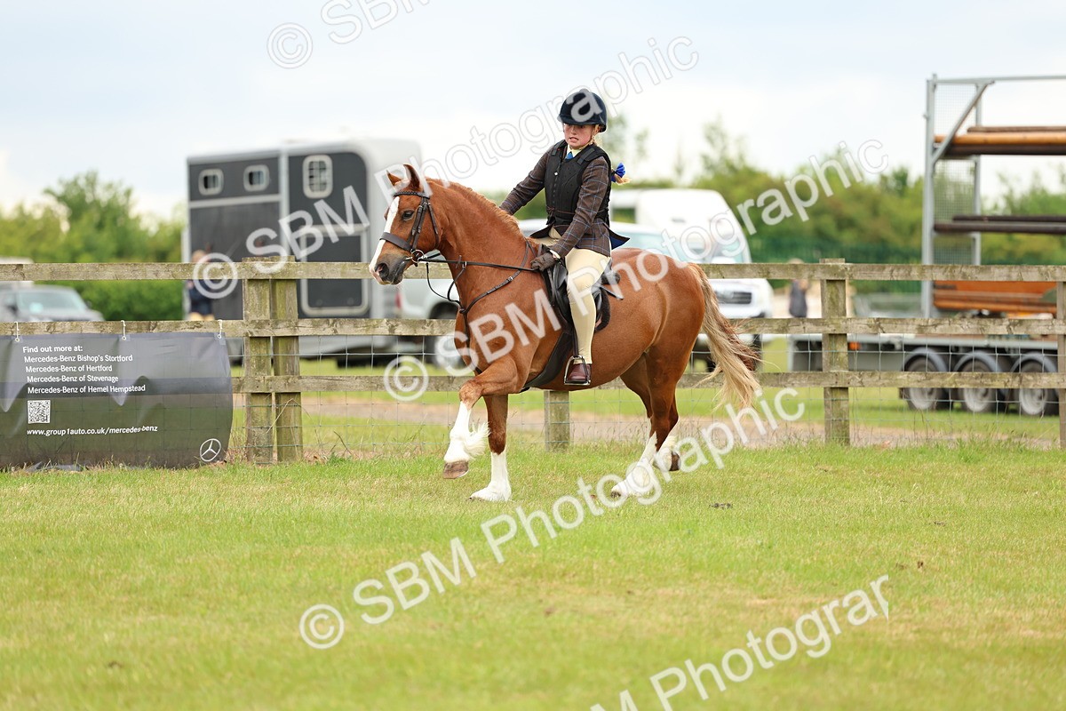 SBM_10345 - Class 44-45 - LIHS BSPS Open Nursery and Cradle Stakes
