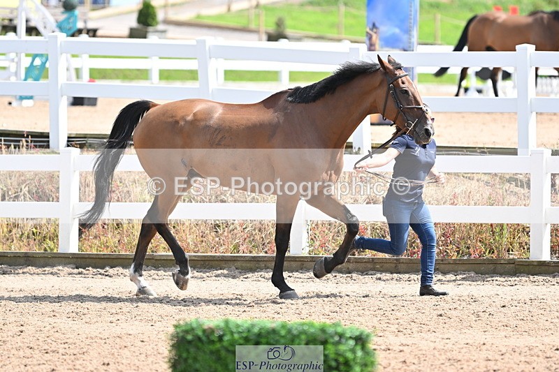 240717A-152007-02759 - Trot Up 3pm to 4pm