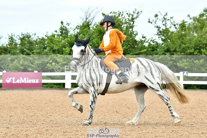 230804A-105905-02087 - Musical Ride