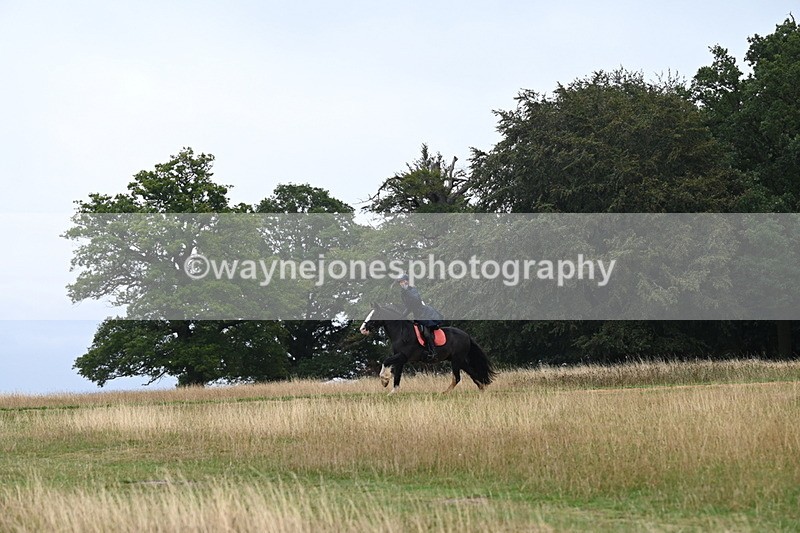 DSC_0088 - Time at Statue 09:51 to 10:54