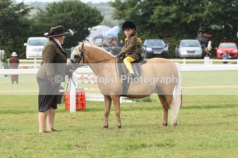 JPP_0397 - Class 14: Cornish Combination Leading Rein