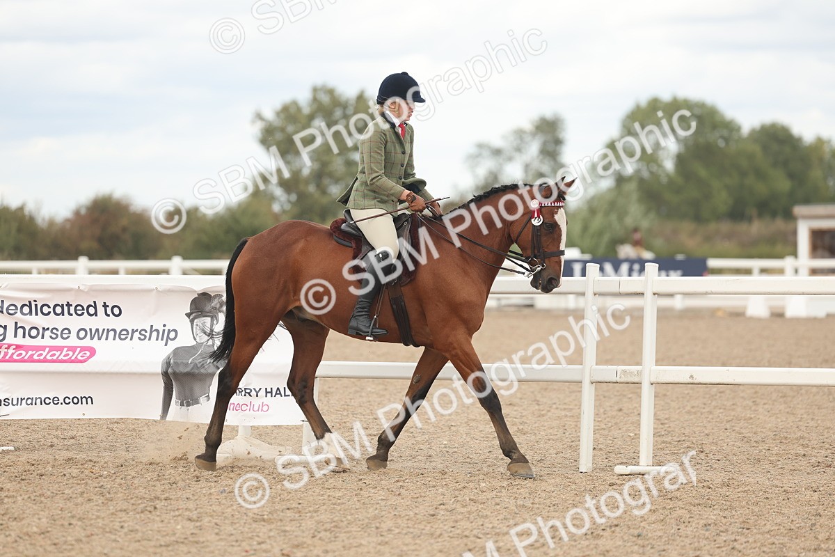 SBM_18121 - Class 315 - Best Horse-Rider Combination