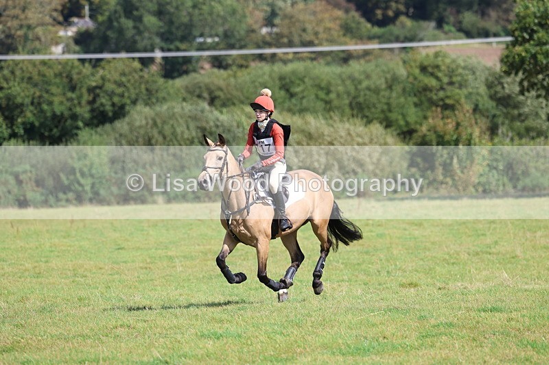 3E7A6650 - Class 1: Trebudannon Open: Pheasant Feeder