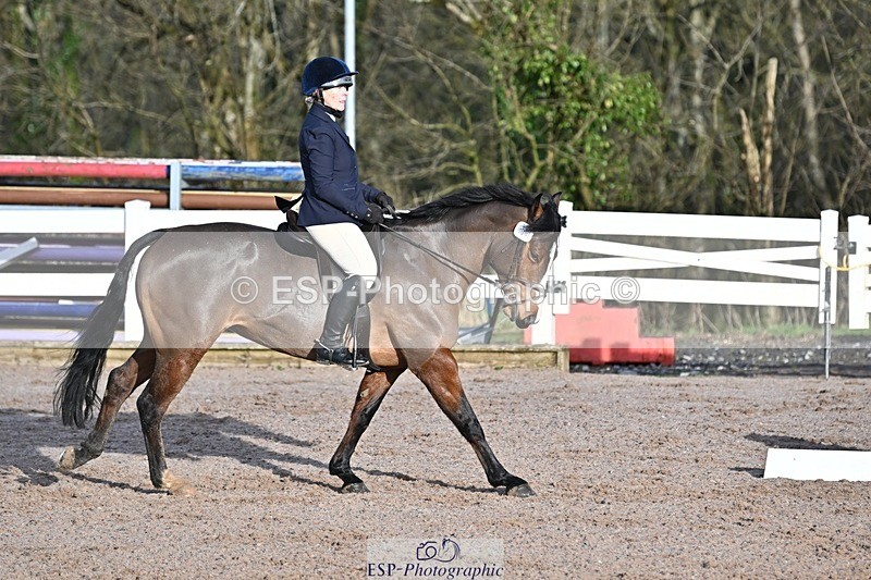 250125-100802-00123 - Dressage - CT Class 4 BE95 (80cm)