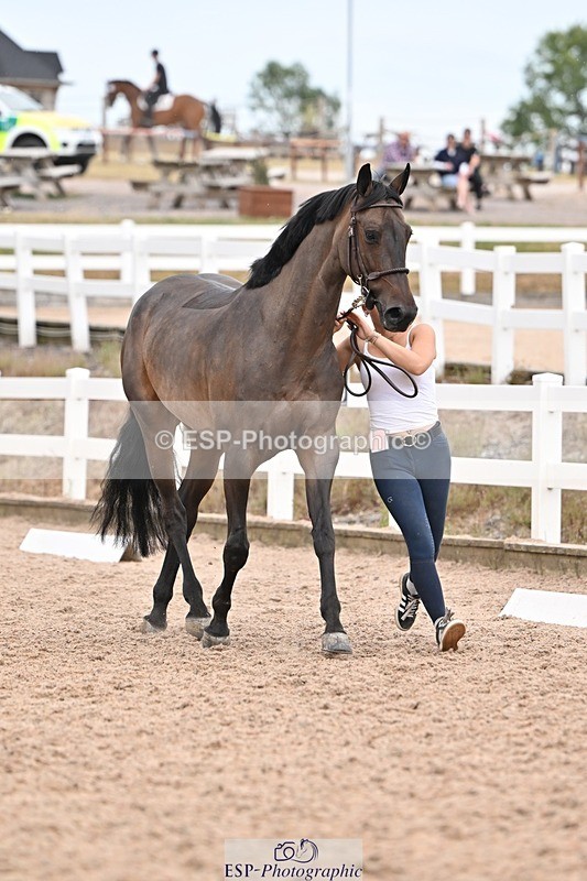 250716-161026-02485 - Trot Up 3.30 to 4.30