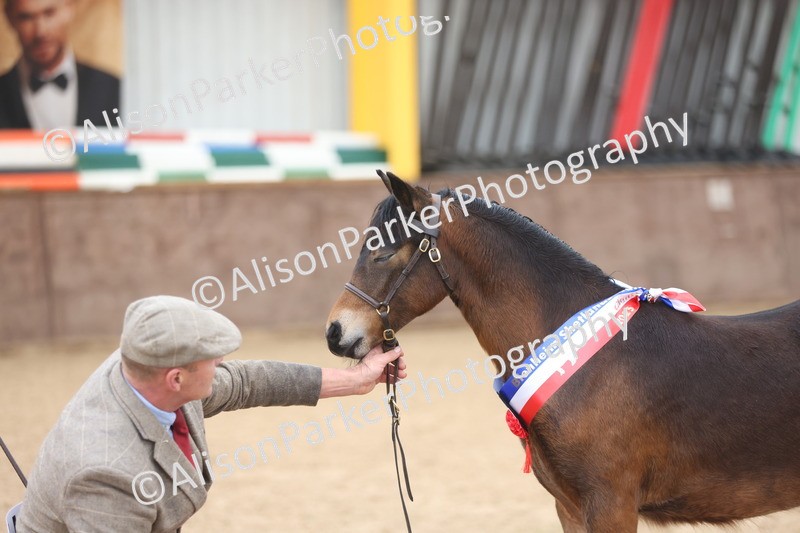 20251109-0717 - Championship