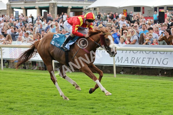 yr04092022r3-25 - Race 3 2.55pm The Elevator Company Garrowby Stakes