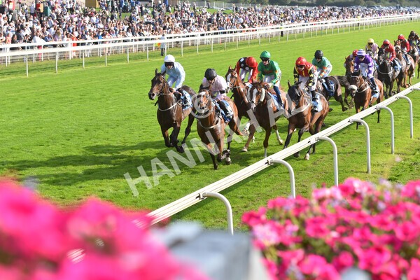 yr05092021r5-37 - Race 5 4.20pm Little Green Rascals Children's Nurseries Stakes