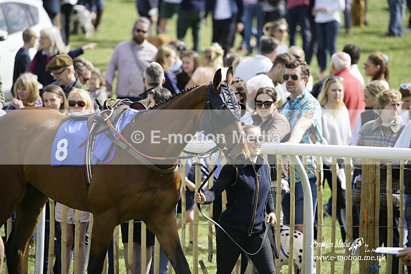 PtP 180422 24 - Old Berkshire PtP Lockinge 18/04/22