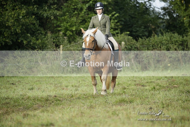 BVRC 120921 7 - Bourne Valley Riding Club UA Dressage & Show Jumping 12/09/21