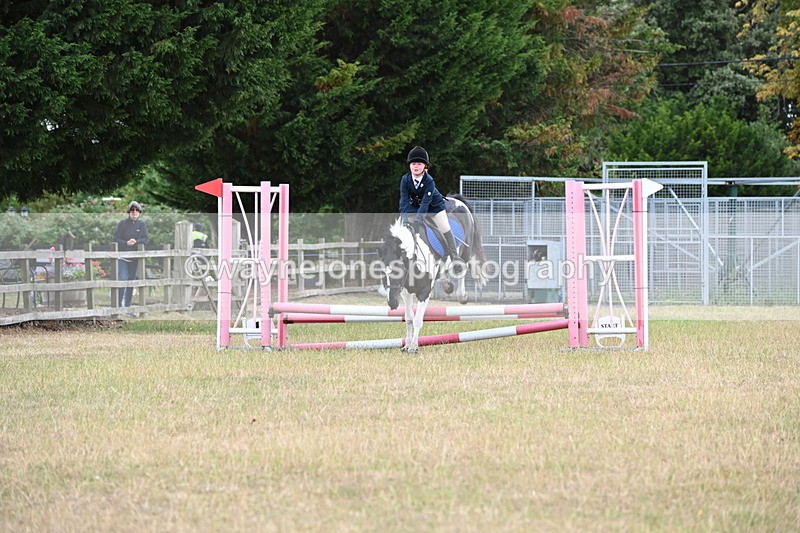 WJ6_9935 - Class 13 Novice Jumping 60cm