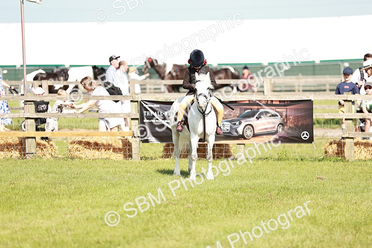 SBM_12629 - Class 106-107 - BSPS LIHS Working Sports Pony