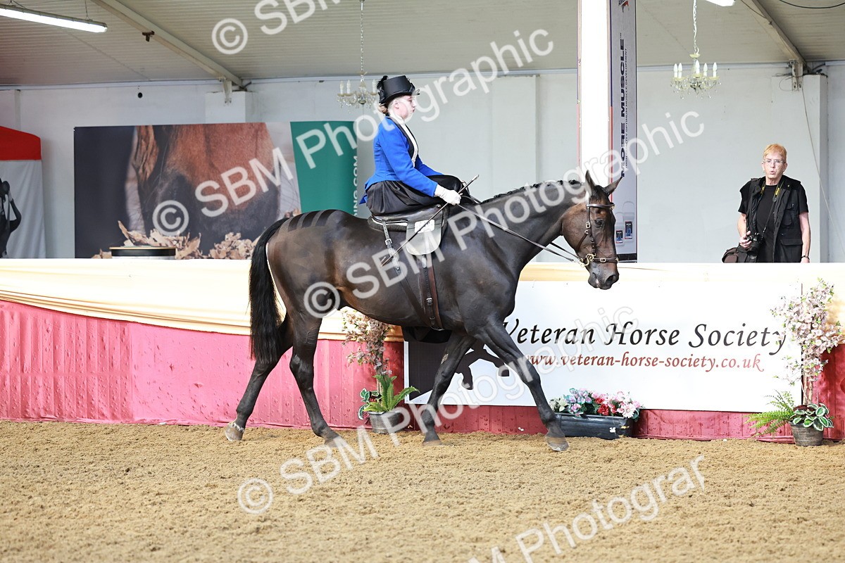 SBM_13527 - Class 105 - Ridden Costume - Side Saddle