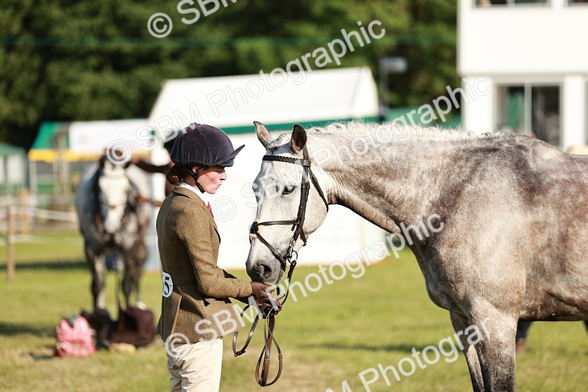 SBM_20036 - Class 115-116 - LIHS BSHA Rising Star Working Hunter & Show Horse